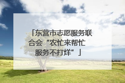 东营市志愿服务联合会“农忙来帮忙 服务不打烊”