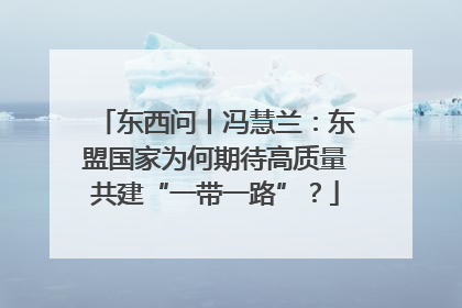 东西问丨冯慧兰：东盟国家为何期待高质量共建“一带一路”？