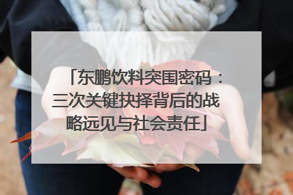 东鹏饮料突围密码：三次关键抉择背后的战略远见与社会责任