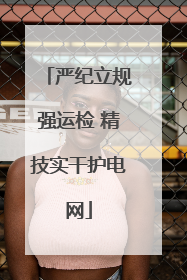 严纪立规强运检 精技实干护电网