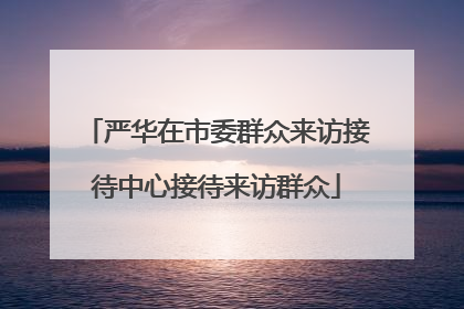 严华在市委群众来访接待中心接待来访群众