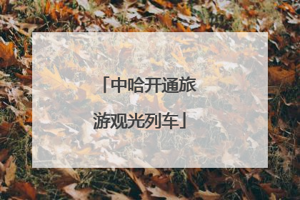 中哈开通旅游观光列车