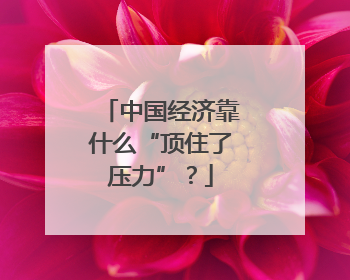 中国经济靠什么“顶住了压力”？