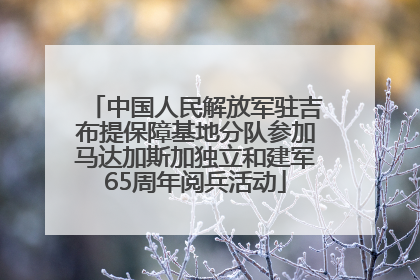 中国人民解放军驻吉布提保障基地分队参加马达加斯加独立和建军65周年阅兵活动