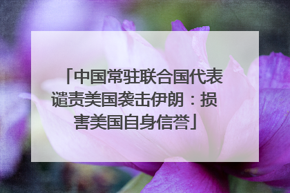 中国常驻联合国代表谴责美国袭击伊朗：损害美国自身信誉