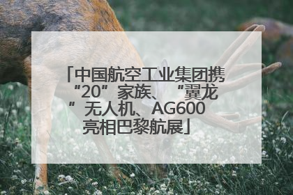 中国航空工业集团携“20”家族、“翼龙”无人机、AG600亮相巴黎航展