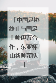 中国足协终止与国足主帅伊万合作，东亚杯由新帅带队