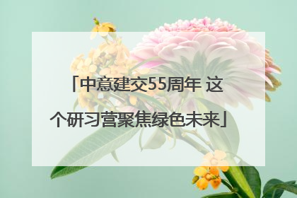 中意建交55周年 这个研习营聚焦绿色未来
