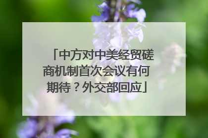 中方对中美经贸磋商机制首次会议有何期待？外交部回应
