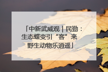 中新武威观｜民勤：生态蝶变引“客”来 野生动物乐逍遥