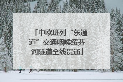 中欧班列“东通道”交通咽喉绥芬河隧道全线贯通