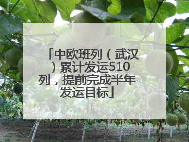 中欧班列（武汉）累计发运510列，提前完成半年发运目标