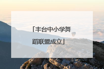 丰台中小学舞蹈联盟成立