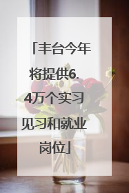 丰台今年将提供6.4万个实习见习和就业岗位