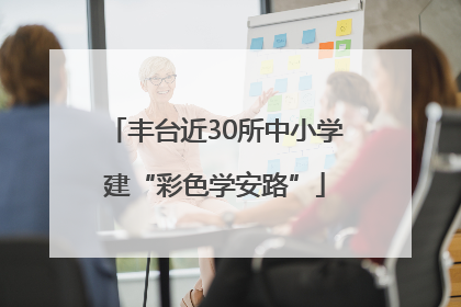 丰台近30所中小学建“彩色学安路”