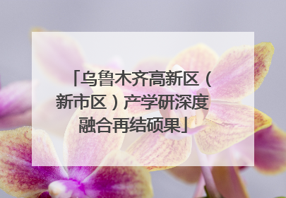 乌鲁木齐高新区（新市区）产学研深度融合再结硕果