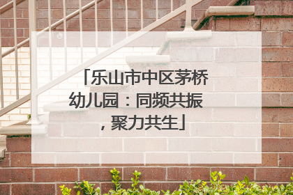乐山市中区茅桥幼儿园：同频共振，聚力共生