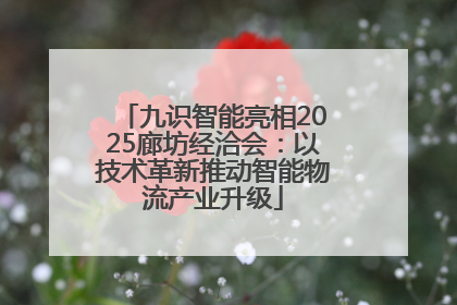 九识智能亮相2025廊坊经洽会：以技术革新推动智能物流产业升级