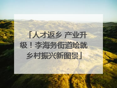 人才返乡 产业升级！李海务街道绘就乡村振兴新图景