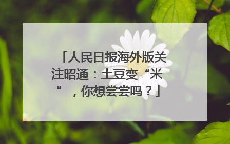 人民日报海外版关注昭通：土豆变“米”，你想尝尝吗？