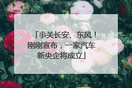 事关长安、东风！刚刚宣布，一家汽车新央企将成立