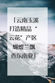 云南玉溪打造精品“云花”产区 蝴蝶兰飘香东南亚