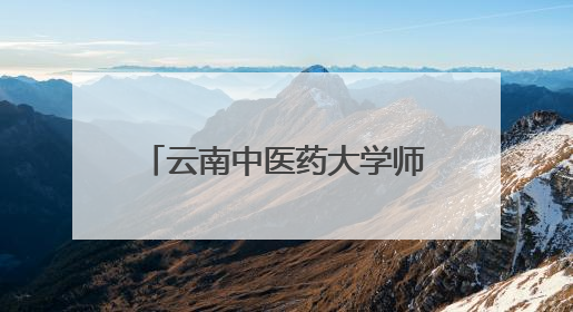 云南中医药大学师生走进西冲小学 播撒中医药文化种子