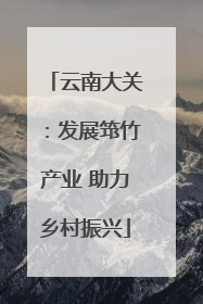 云南大关：发展筇竹产业 助力乡村振兴