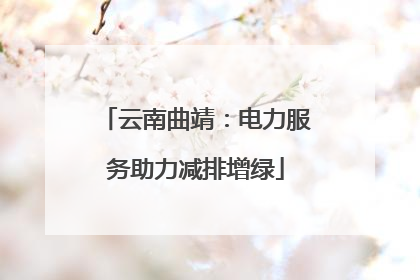 云南曲靖：电力服务助力减排增绿