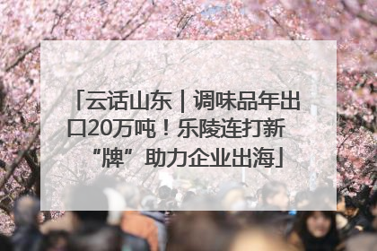 云话山东｜调味品年出口20万吨！乐陵连打新“牌”助力企业出海