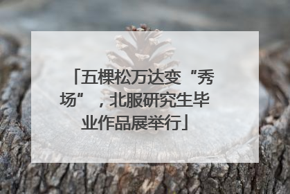 五棵松万达变“秀场”，北服研究生毕业作品展举行