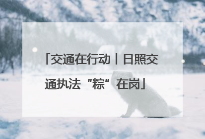 交通在行动丨日照交通执法“粽”在岗
