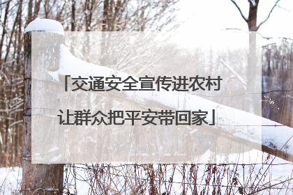 交通安全宣传进农村 让群众把平安带回家