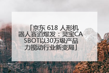 京东 618 人形机器人赛道爆发：灵宝CASBOT以30万级产品力搅动行业新变局