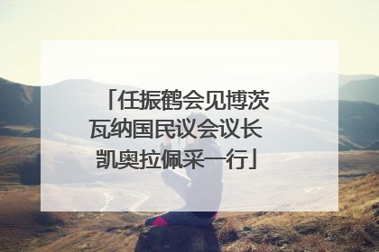 任振鹤会见博茨瓦纳国民议会议长凯奥拉佩采一行
