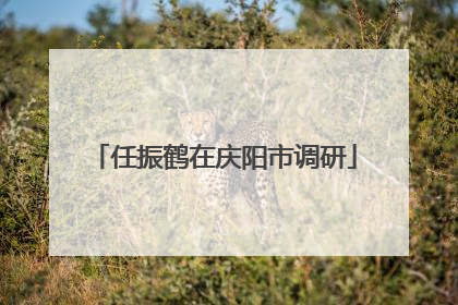 任振鹤在庆阳市调研