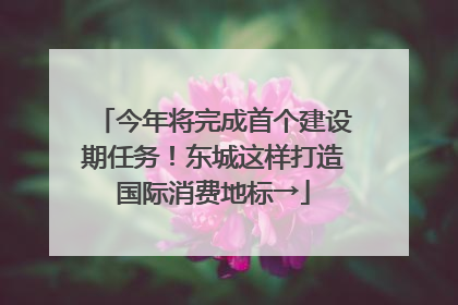 今年将完成首个建设期任务！东城这样打造国际消费地标→