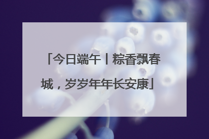 今日端午丨粽香飘春城，岁岁年年长安康