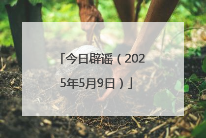 今日辟谣（2025年5月9日）