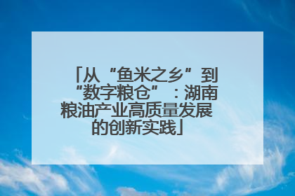 从“鱼米之乡”到“数字粮仓”：湖南粮油产业高质量发展的创新实践