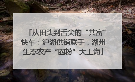 从田头到舌尖的“共富”快车：沪湖供销联手，湖州生态农产“圈粉”大上海