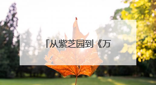 从紫芝园到《万国来朝》壁画：江苏商业开启文化变现新赛道