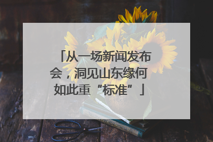 从一场新闻发布会，洞见山东缘何如此重“标准”