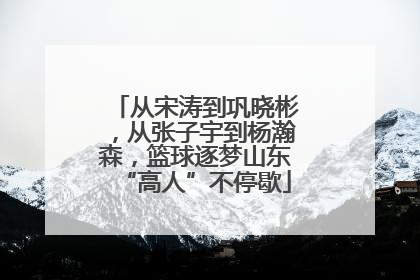 从宋涛到巩晓彬，从张子宇到杨瀚森，篮球逐梦山东“高人”不停歇