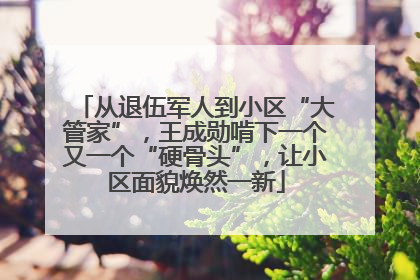 从退伍军人到小区“大管家”，王成勋啃下一个又一个“硬骨头”，让小区面貌焕然一新