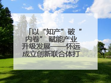 以“知产”破“内卷” 赋能产业升级发展——怀远成立创新联合体打造汽车零部件产业新高地