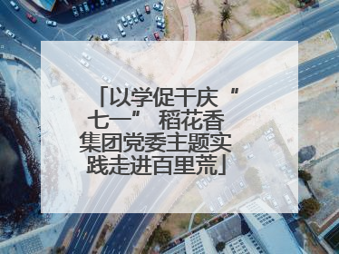以学促干庆“七一” 稻花香集团党委主题实践走进百里荒