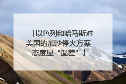 以色列和哈马斯对美国的加沙停火方案态度显“温差”
