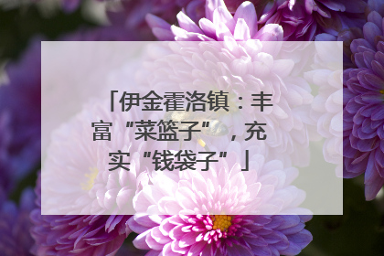 伊金霍洛镇：丰富“菜篮子”，充实“钱袋子”