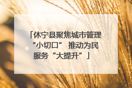 休宁县聚焦城市管理“小切口” 推动为民服务“大提升”